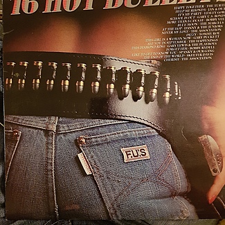 16 hot bullets
