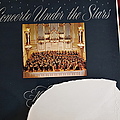 Concerto Under The Stars