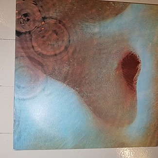 Meddle