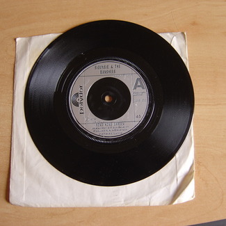 Hong Kong Garden by Siouxsie & The Banshees