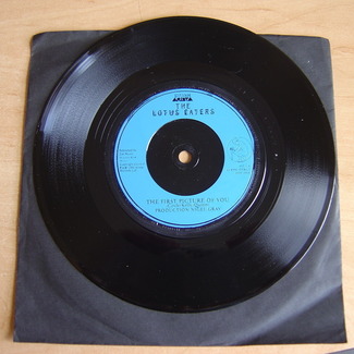 The First Picture Of You by The Lotus Eaters