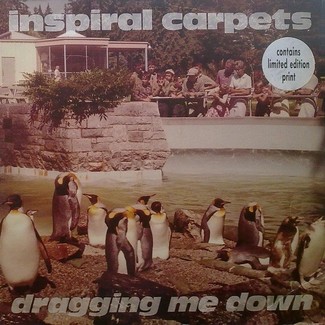 Dragging Me Down by Inspiral Carpets