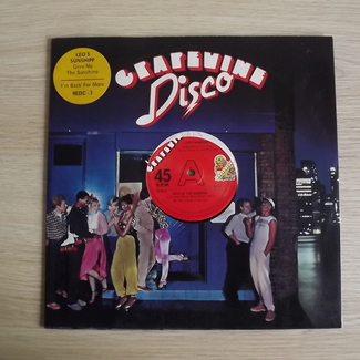 Give Me The Sunshine / I'm Back For More by Leo's Sunshipp