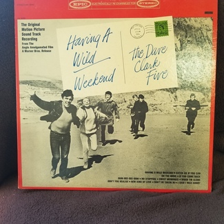 Having A Wild Weekend