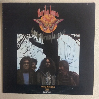 Early Morning Onwards