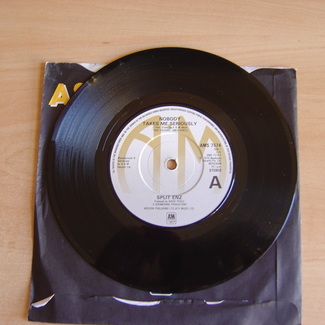 Nobody Takes Me Seriously by Split Enz