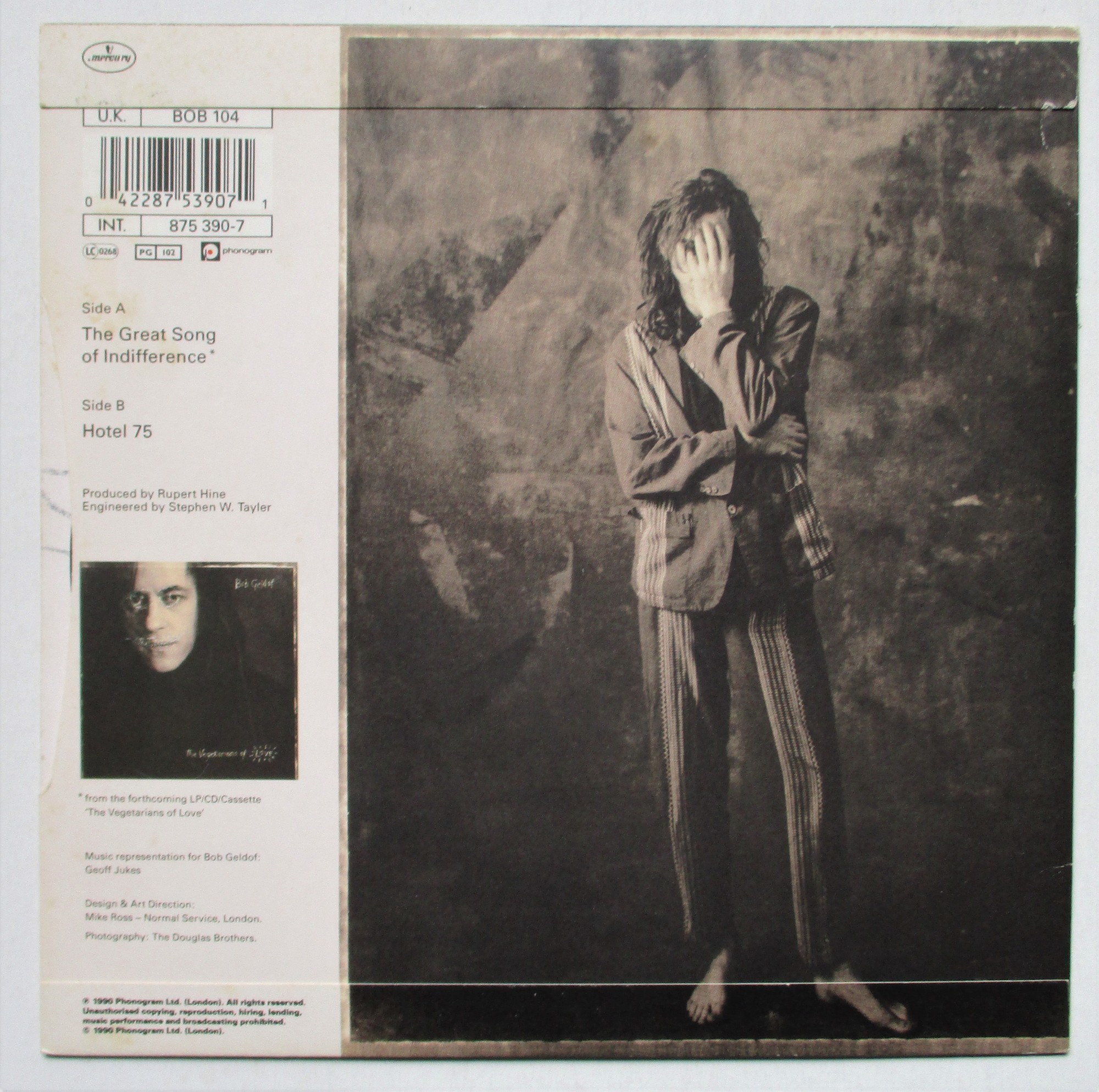 Bob Geldof The Great Song Of Indifference