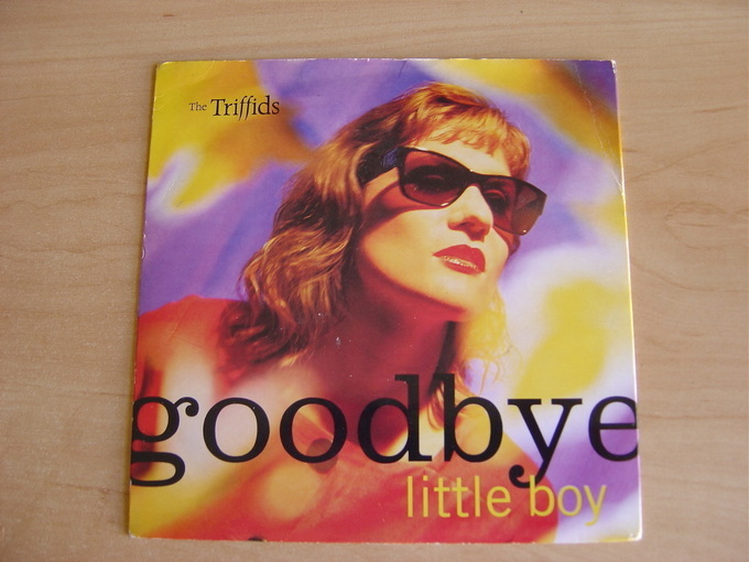 Goodbye Little Boy