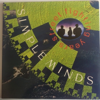 Street Fighting Years