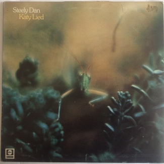 Katy Lied