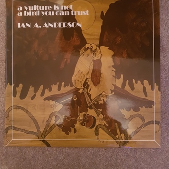 A Vulture Is Not A Bird You Can Trust