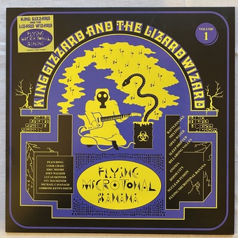 Flying Microtonal Banana