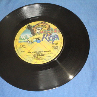 The Best Days Of My Life / Blondes (Have More Fun)