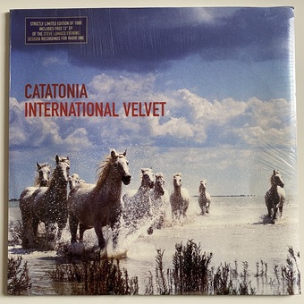 International Velvet