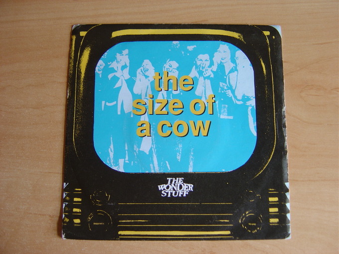 The Size Of A Cow