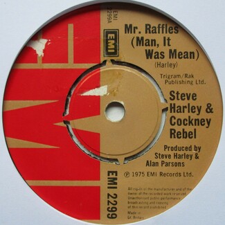 Mr. Raffles (Man, It Was Mean) by Steve Harley and Cockney Rebel
