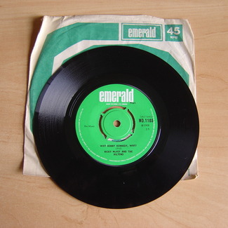 Why Bobby Kennedy, Why ? by Ricky Mcvey And The Hiltons