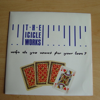 Who Do You Want For Your Love? by The Icicle Works