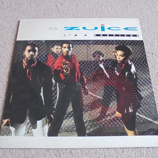 I'm A Survivor by Zuice