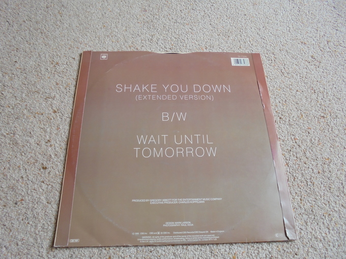 Shake You Down (Extended Version)