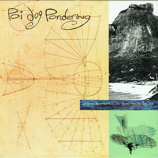 Wishing Like A Mountain And Thinking Like The Sea by Poi Dog Pondering