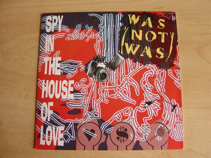 Spy In The House Of Love