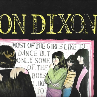 Most Of The Girls Like To Dance But Only Some Of The Boys Like To by Don Dixon