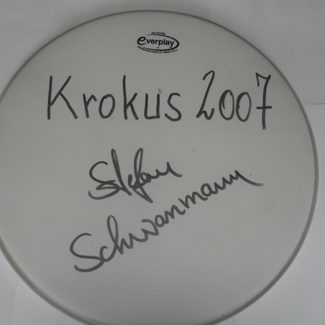 Krokus drumskin