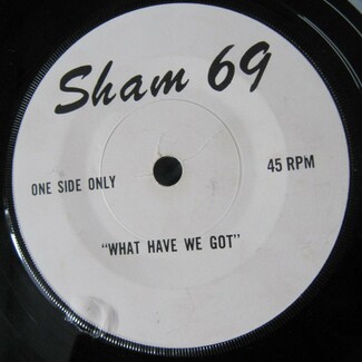 What Have We Got by Sham 69