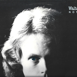 Not Shy by Walter Egan