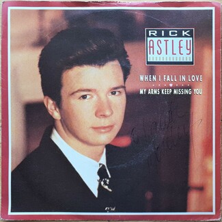 When I Fall In Love / My Arms Keep Missing You