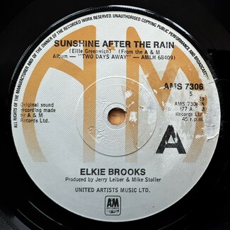 Sunshine After The Rain