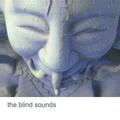 The Blind Sounds (2023)