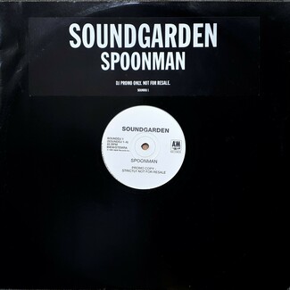 Spoonman