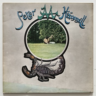 Chameleon In The Shadow Of The Night