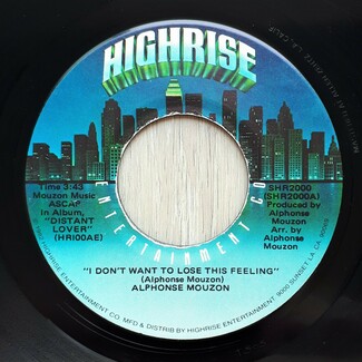 I Don't Want To Lose This Feeling / The Lady In Red