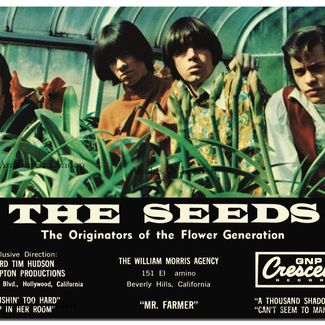 THE SEEDS - 1967 - high-quality A2 promo poster