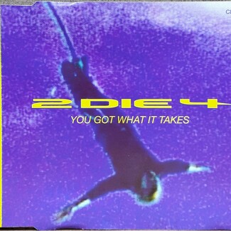 You Got What It Takes