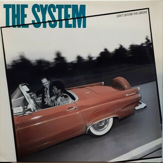 Don't Disturb This Groove