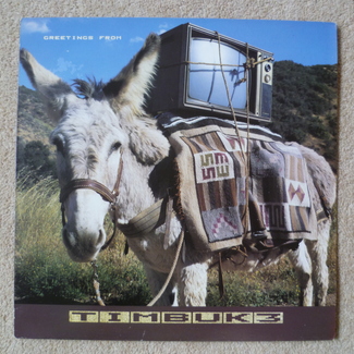 Greetings From Timbuk 3