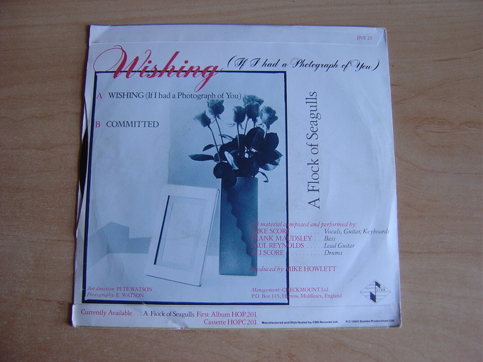 Wishing (If I Had A Photograph Of You)
