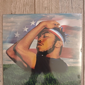 American Boyfriend: A Suburban Love Story