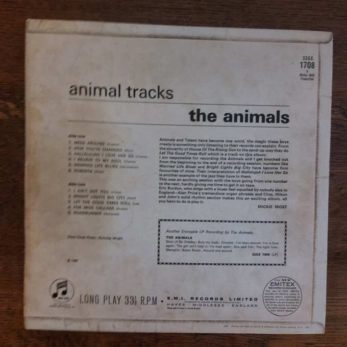 Animal Tracks
