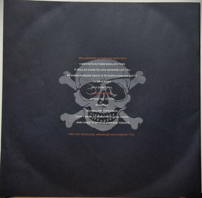 Terence Trent D'Arby's Neither Fish Nor Flesh: A Soundtrack Of Love, Faith, Hope And Destruction