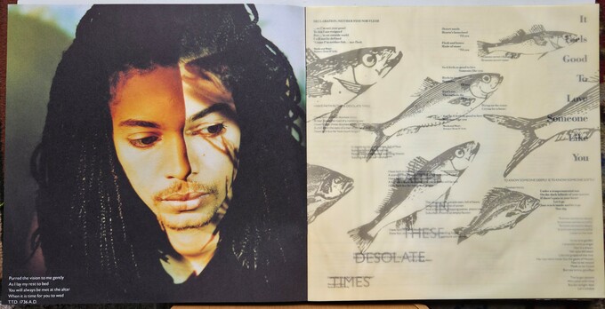 Terence Trent D'Arby's Neither Fish Nor Flesh: A Soundtrack Of Love, Faith, Hope And Destruction