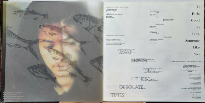 Terence Trent D'Arby's Neither Fish Nor Flesh: A Soundtrack Of Love, Faith, Hope And Destruction
