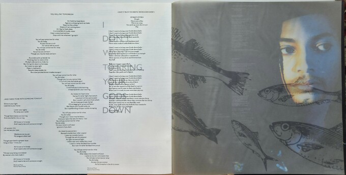 Terence Trent D'Arby's Neither Fish Nor Flesh: A Soundtrack Of Love, Faith, Hope And Destruction