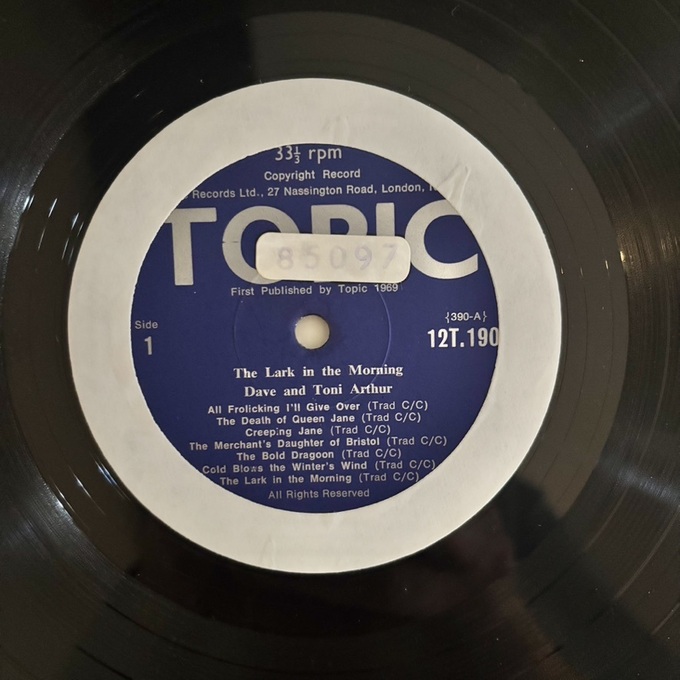 The Lark In The Morning