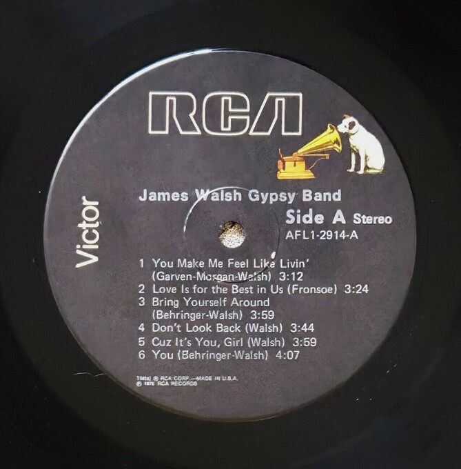 James Walsh Gypsy Band