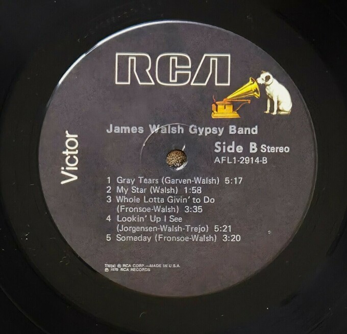 James Walsh Gypsy Band